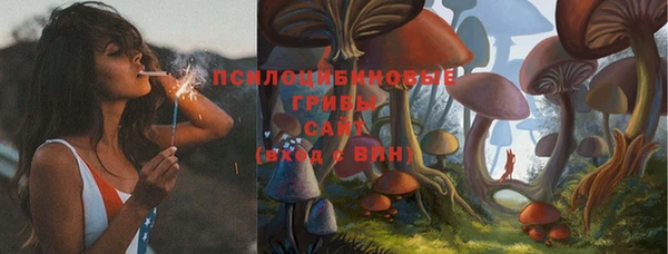 молекула духа Лиски